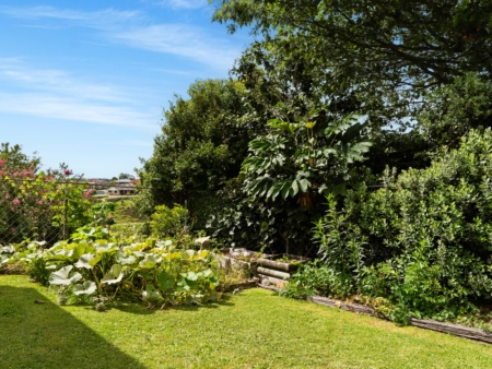 Alexander Real Estate | Te Puke - 7 Wiltshire Place - Te Puke