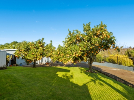 Alexander Real Estate | Te Puke - 11 Wiltshire Place - Te Puke
