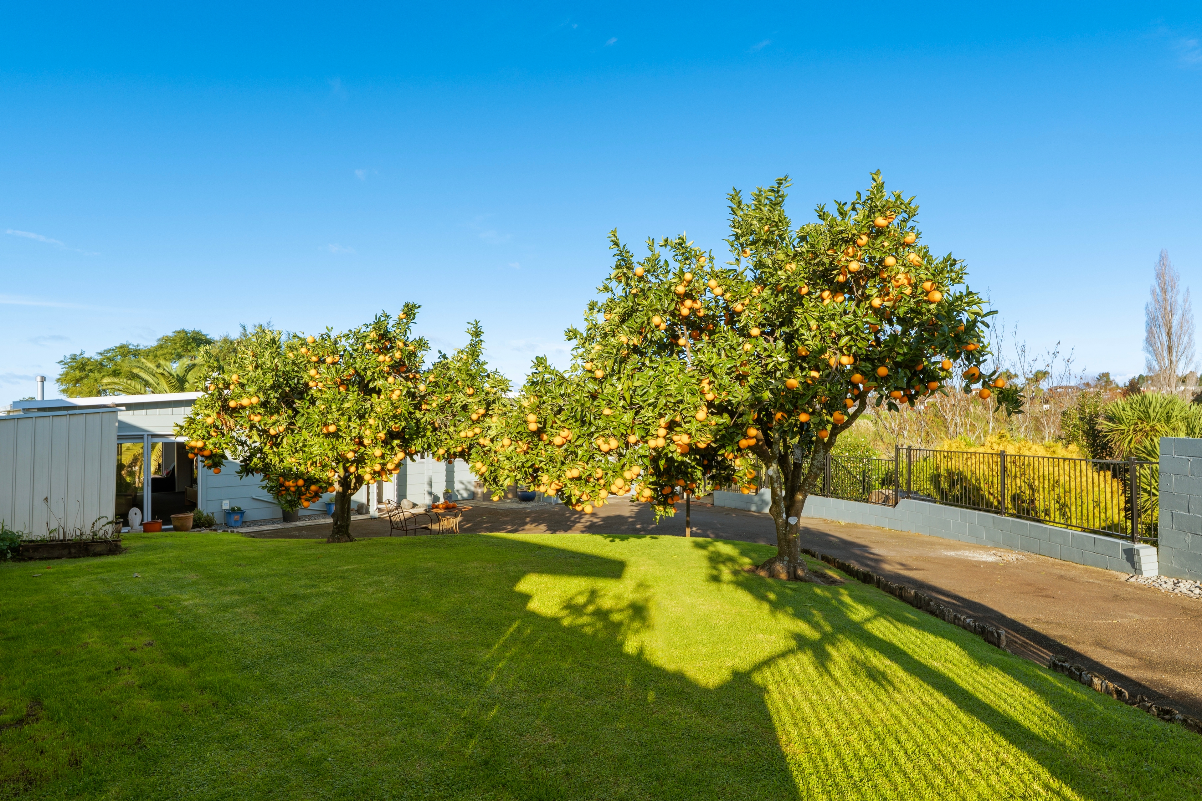 Alexander Real Estate | Te Puke - 11 Wiltshire Place - Te Puke