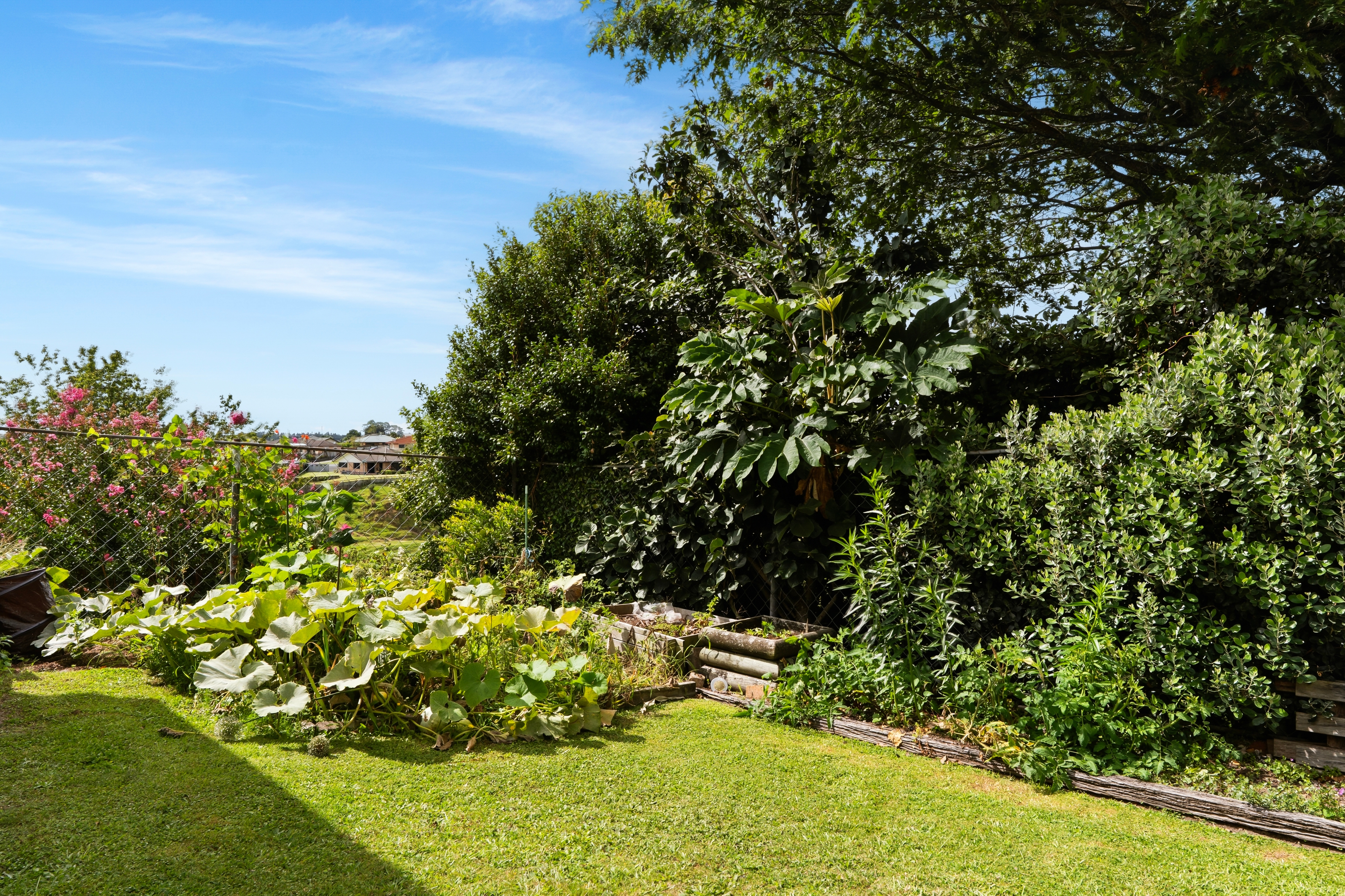Alexander Real Estate | Te Puke - 7 Wiltshire Place - Te Puke