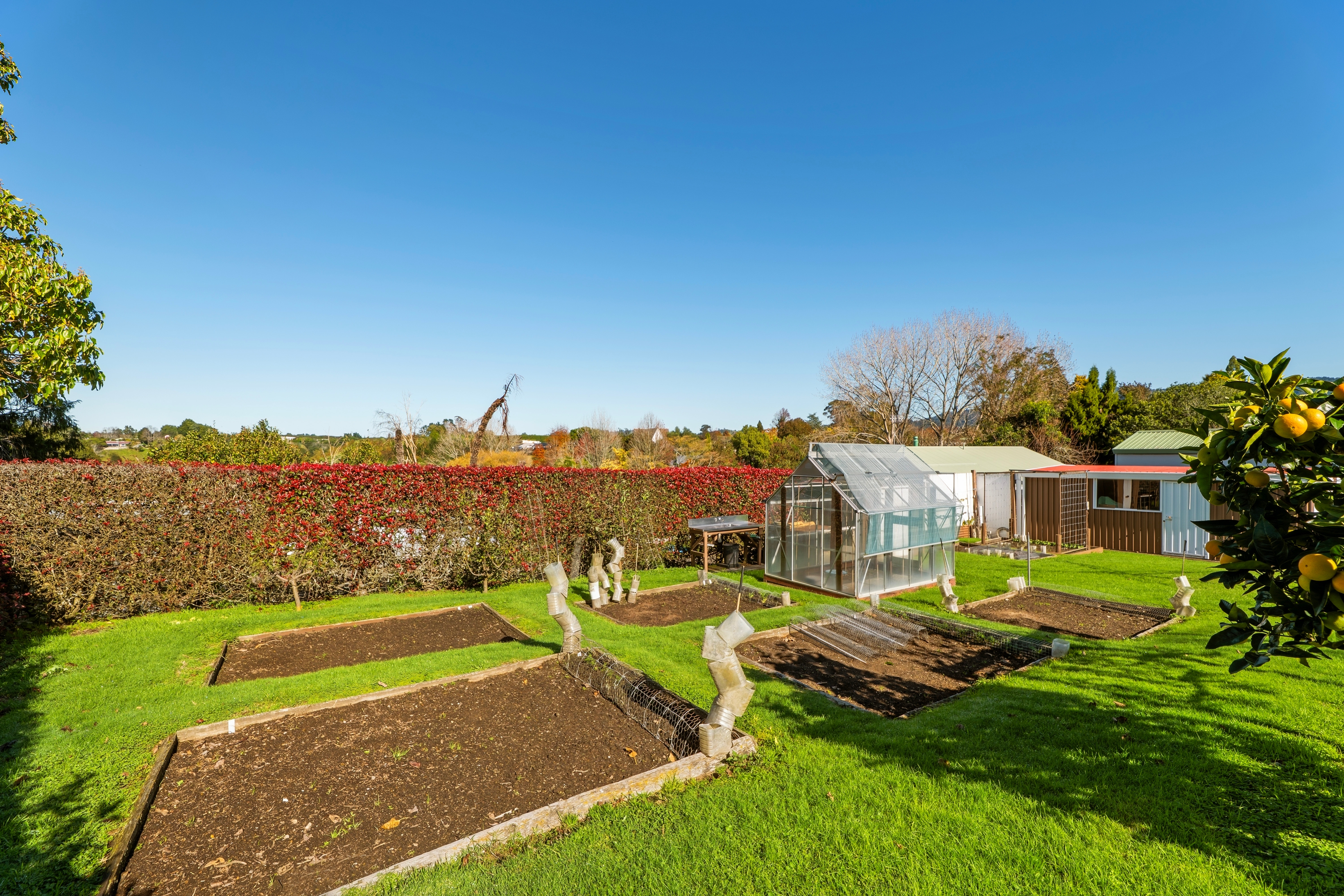 9 Nettlingham Place – Te Puke Alexander Real Estate | Te Puke - 9 Nettlingham Place - Te Puke