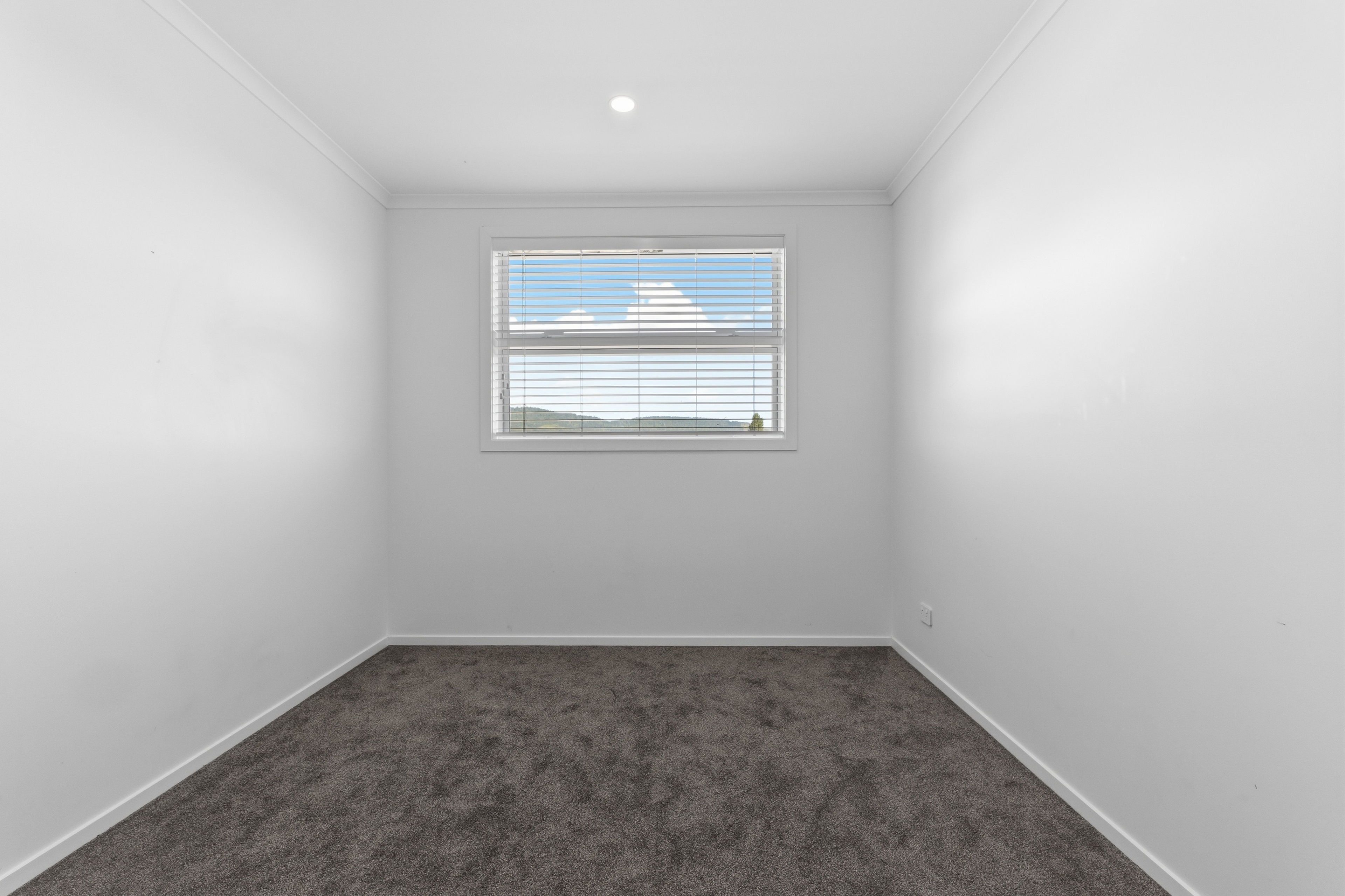 Alexander Real Estate | Te Puke - 8 Potene Lane - Te Puke